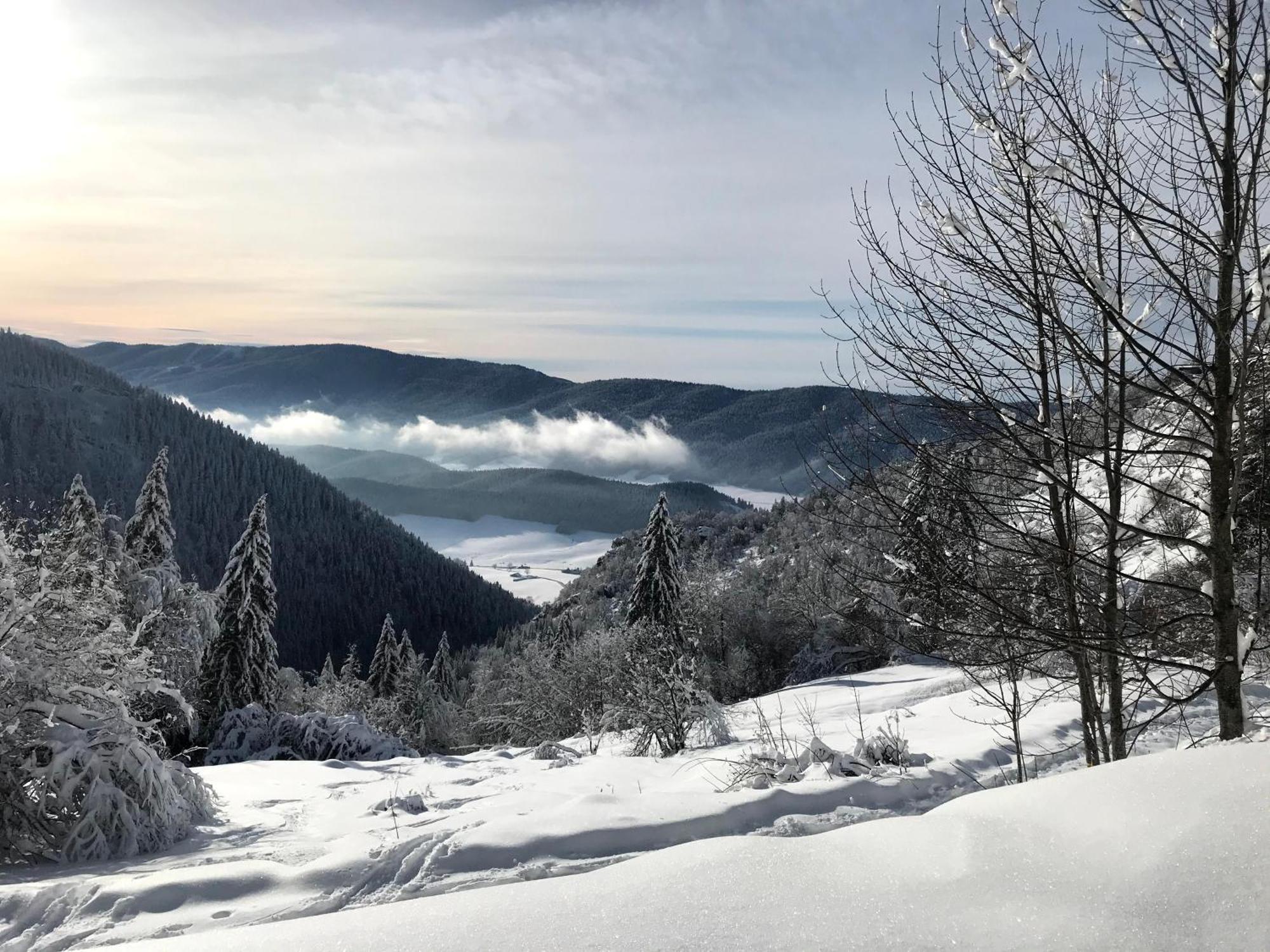 Ferme des deux Frères, Autrans, Vercors Extérieur photo