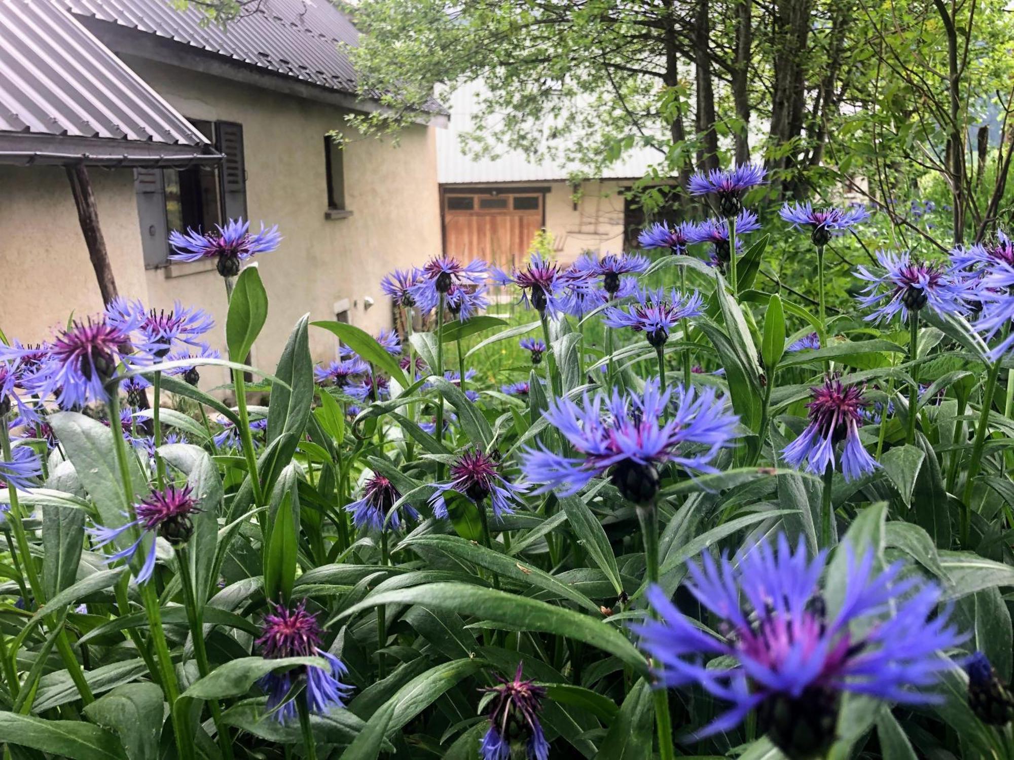 Ferme des deux Frères, Autrans, Vercors Extérieur photo